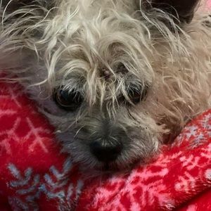 Meet your Posher, Linda